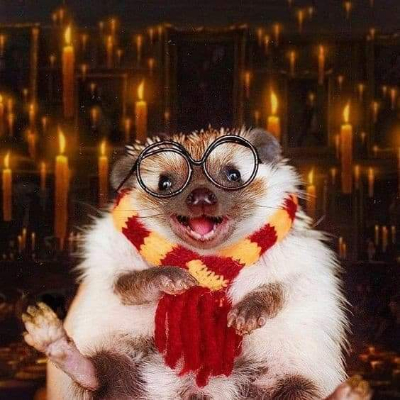 Jezyki_Tutu