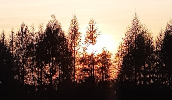 Jakim wykonawcą jesteś?