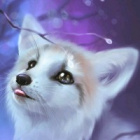 FoczkaOwO