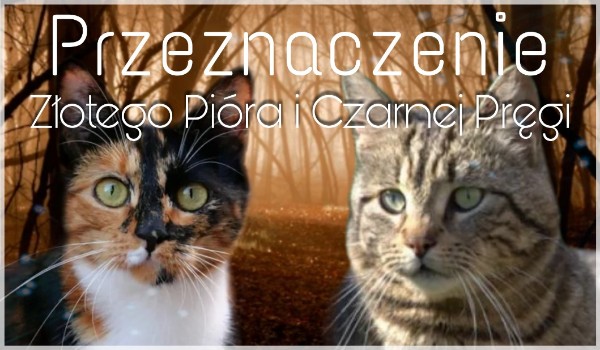 Przeznaczenie Złotego Pióra i Czarnej Pręgi #5