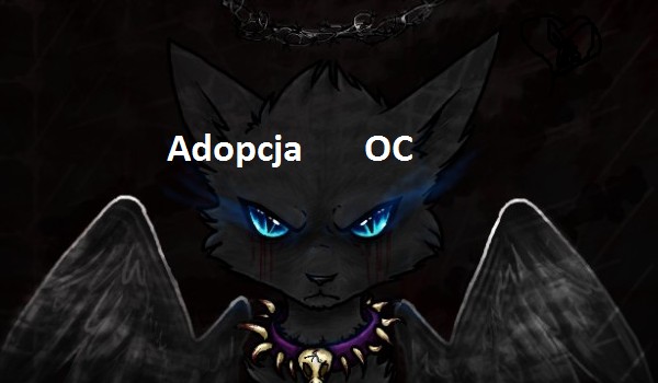 zaadoptuj OC! #11 czyli specjalny kot! [ przygarnięta przez @Wojowniczka.123 ]