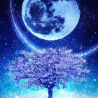 MoonLight_2009