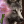 Shad0wM1ke