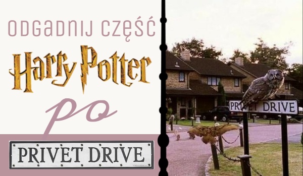 Odgadnij część Harry’ego Pottera po Privet Drive!