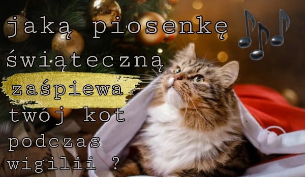 Jaką piosenkę świąteczną zaśpiewa twój kot podczas wigilii ?