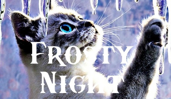 Frosty Night ~ rozdział 9