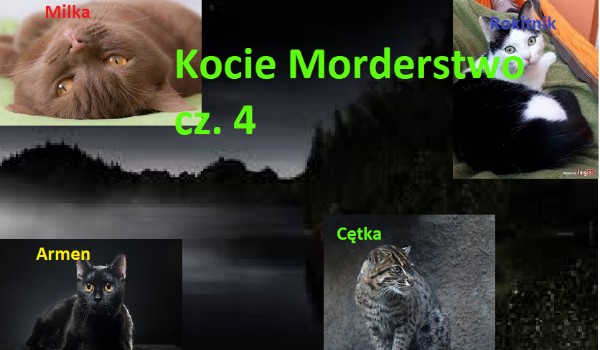 Kocie morderstwo. Część 4