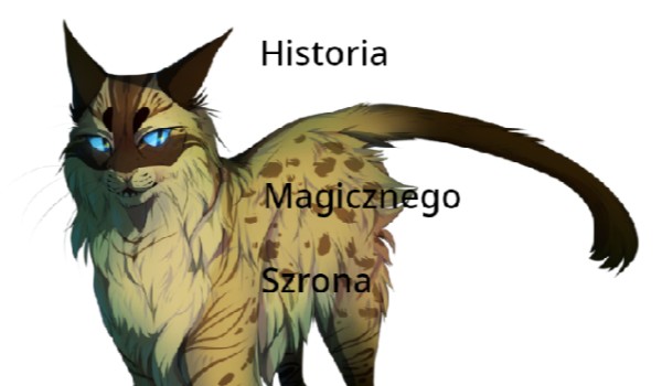 Historia Magicznego Szrona