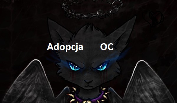 zaadoptuj OC! #8 [ przygarnięta przez @SlonecznaSadzawka ]