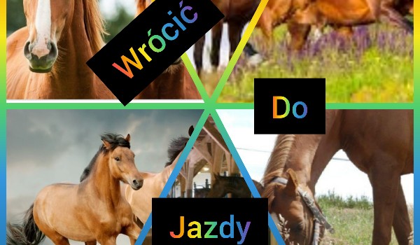 Wrócić do jazdy..