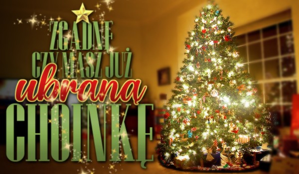 Zgadnę, czy masz już ubraną choinkę!