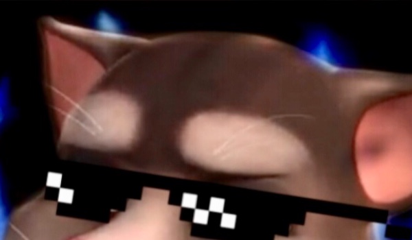 Polskie TTAF – Nowa baza Roy’a!