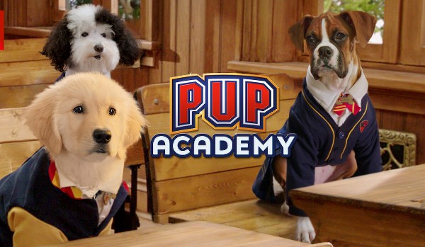 Z jakiego przedmiotu z Pup Academy byłbyś najlepszy?