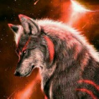 Bad_Wolfx