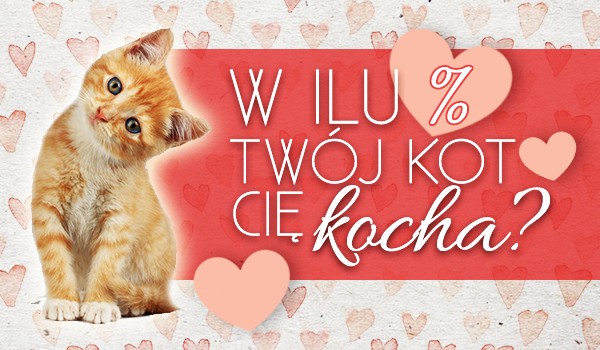 W ilu % Twój kot Cię kocha?