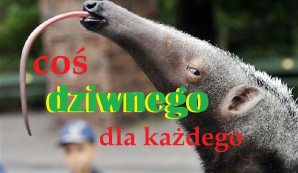 coś dziwnego dla każdego #2