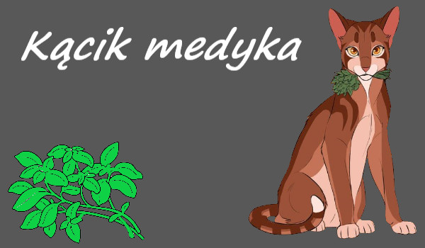 Kącik Medyka! #05