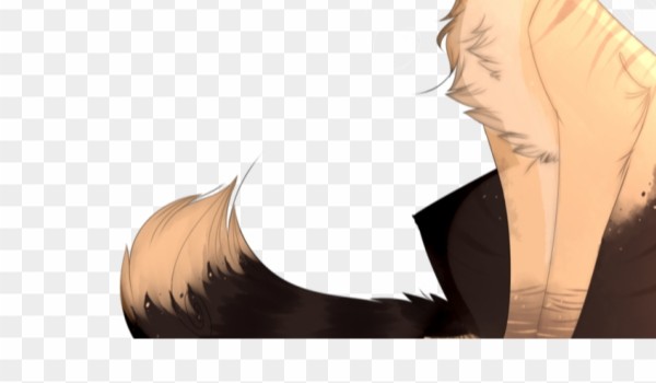 Śnieżna pręga ciąg dalszy