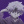Killua_99