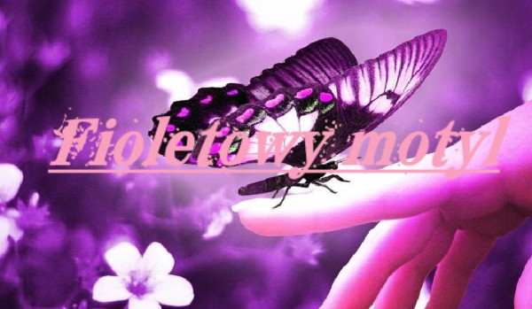 Fioletowy motyl  2