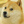 smyk799