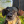 dogogaleria