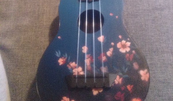 Alice’s ukulele lessons – chords; beginning