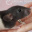 Exsperyment_89
