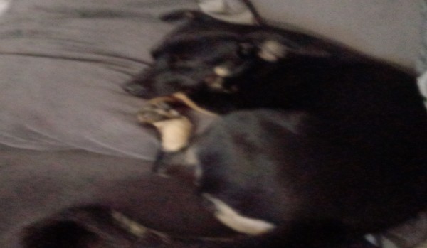 Jaką magiczną postacią jesteś