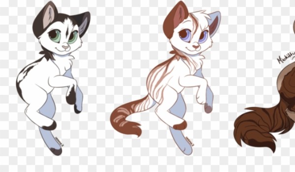 twoja historia jako uczeń