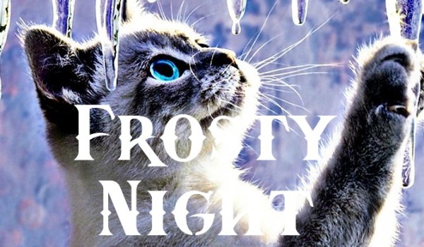 Frosty Night ~ rozdział 2