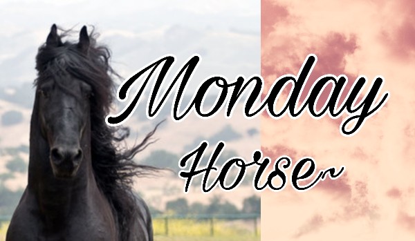 Monday Horse 2/1
