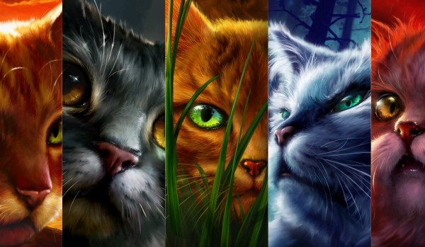 Czy rozpoznasz koty z książki „Wojownicy”? Sprawdź!