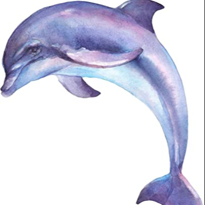 alaiagaka