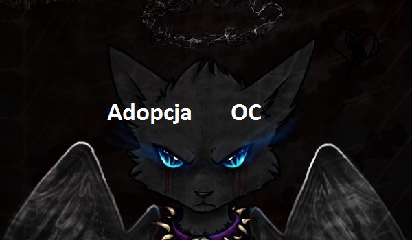 zaadoptuj OC! #6 [ przygarnięta przez @Wojowniczka1558]
