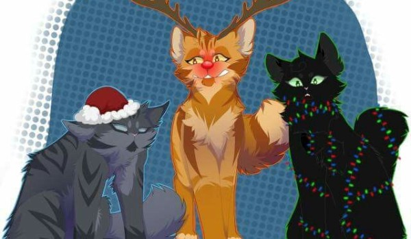 Który kot z ”Wojowników” obejrzy z tobą świąteczny film.