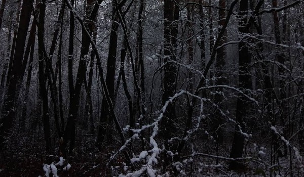 Zgadnę twoją przyszłość!