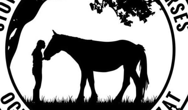 czy masz serce konia?