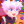 polish_weeb_owo