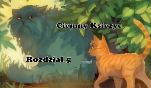 Ciemny Księżyc Rozdział 5