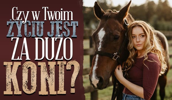 Czy w Twoim życiu jest za dużo koni?