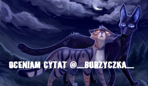 Oceniam cytat @_Burzyczka