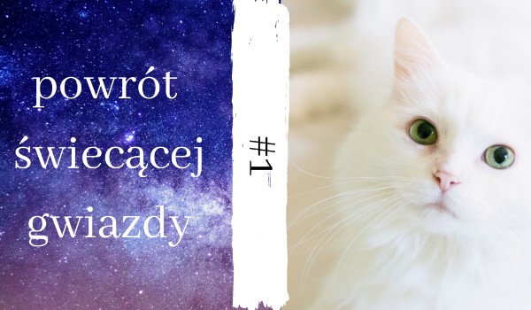 Powrót świecącej gwiazdy #1|By star_horses