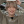 Kpopiara_4