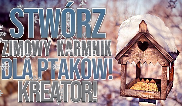 Kreator. Stwórz zimowy karmnik dla ptaków!