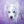 Collie_Fans