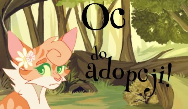 OC do adopcji #21