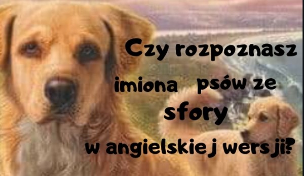 Czy rozpoznasz imiona psów ze „sfory” w angielskiej wersii?