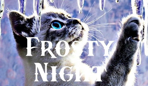 Frosty Night ~ rozdział 3