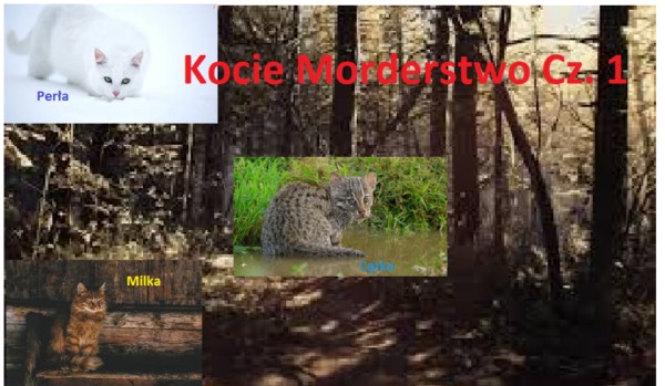 Kocie morderstwo część 1